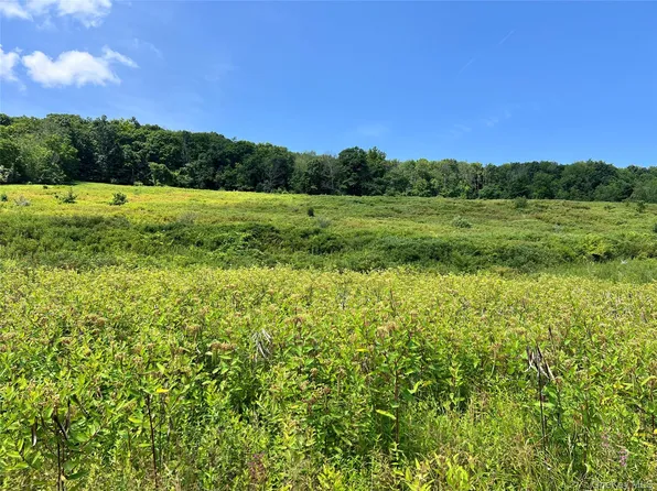 Lot #4 Mountain Road, Port Jervis, NY 12771