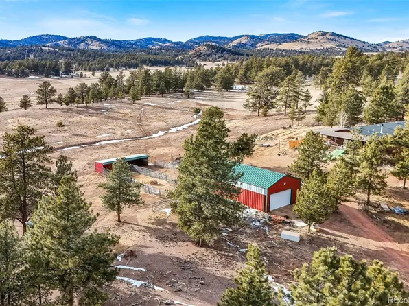 97 Deer Lane, Guffey, CO 80820