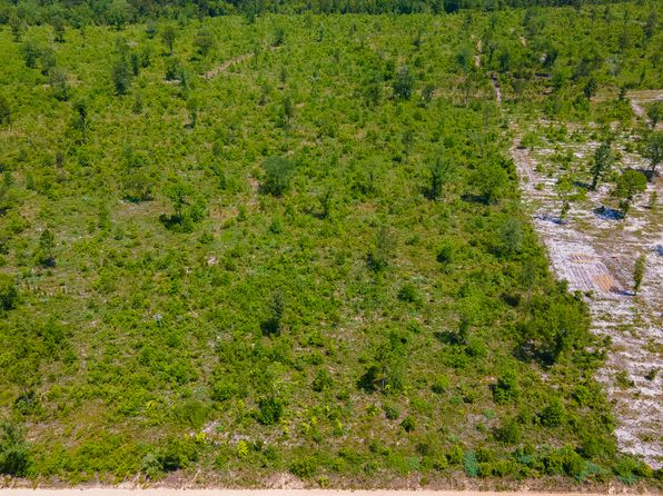 LOT 15 Old Shoals Rd, Monetta, SC 29105
