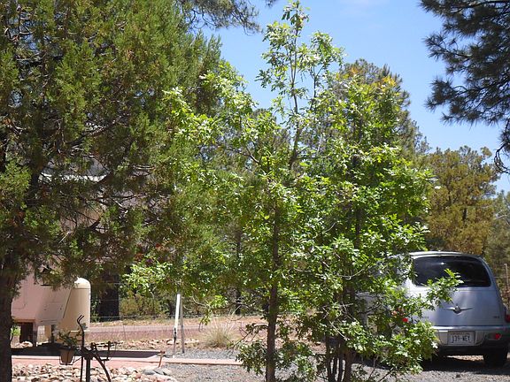 LOTS OF PARKING SPACE