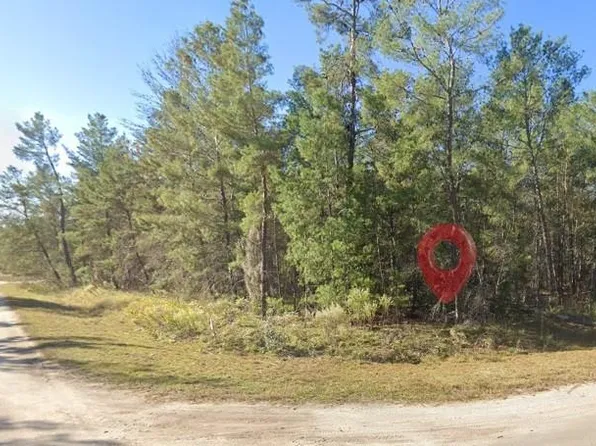 FISHER RUN TERRACE LOT 12, OCKLAWAHA, FL 32179