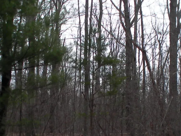 Cleggan Dr, Crossville, TN 38572
