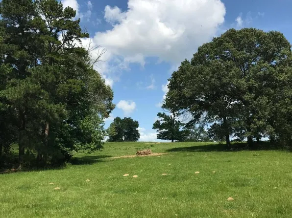 894 County Road 4908, Troup, TX 75789