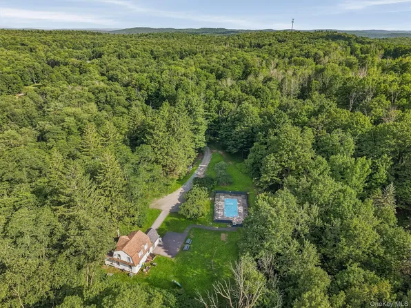 412 Old Monticello Road, Liberty, NY 12754