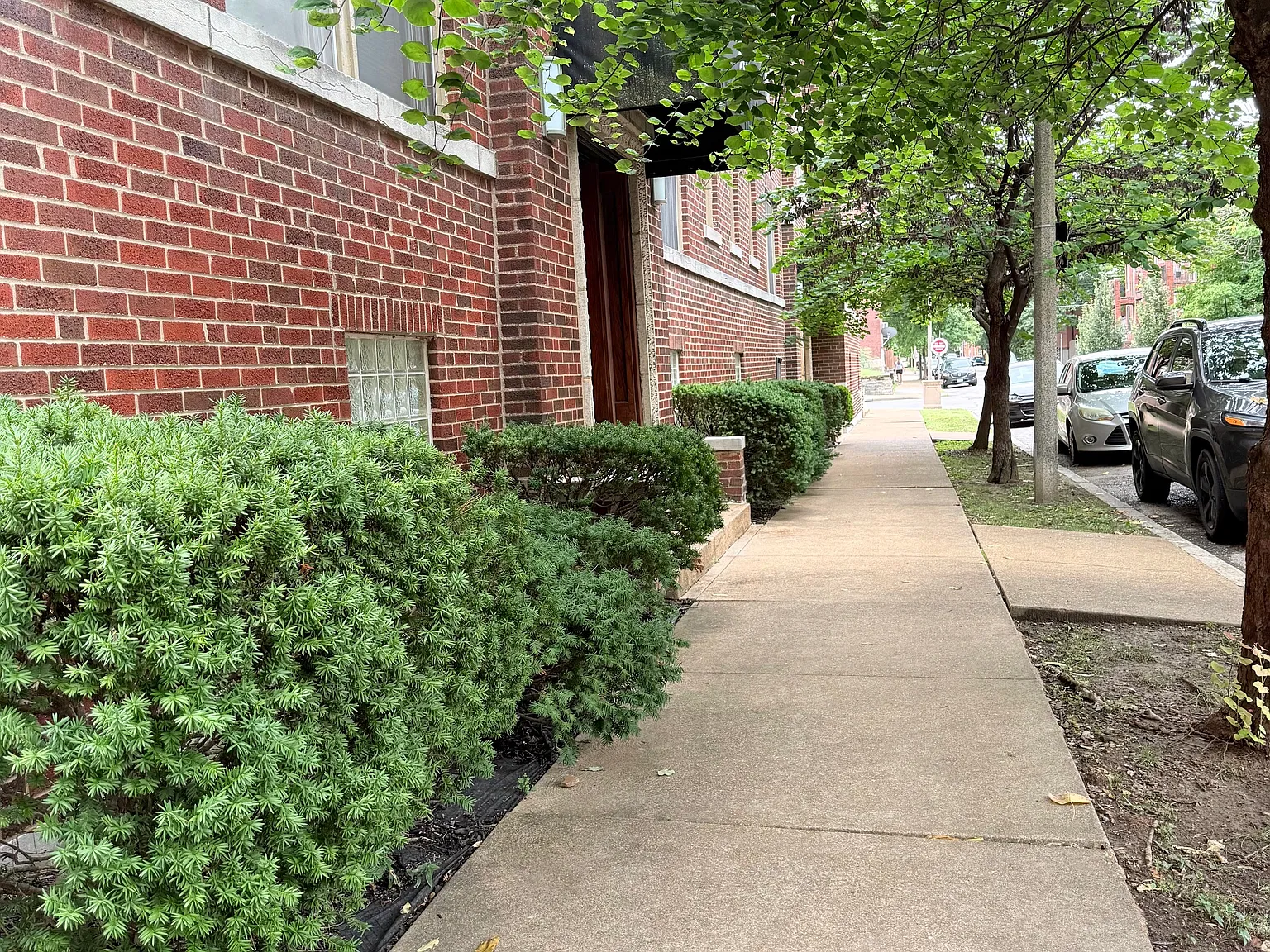 1 bed, 850 sqft, $1,195 — Photo 2