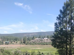 323 E Stollsteimer Rd, Pagosa Springs, CO 81147