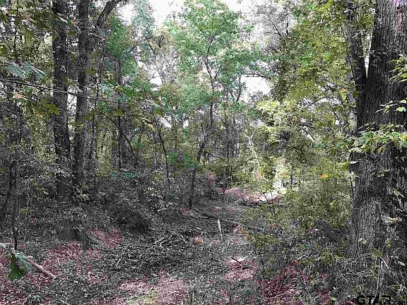2nd image of Tbe N Farm Rd #69