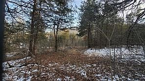 2nd image of 34 Dove Ln #1