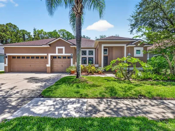 10737 Ayrshire Dr, Tampa, FL 33626
