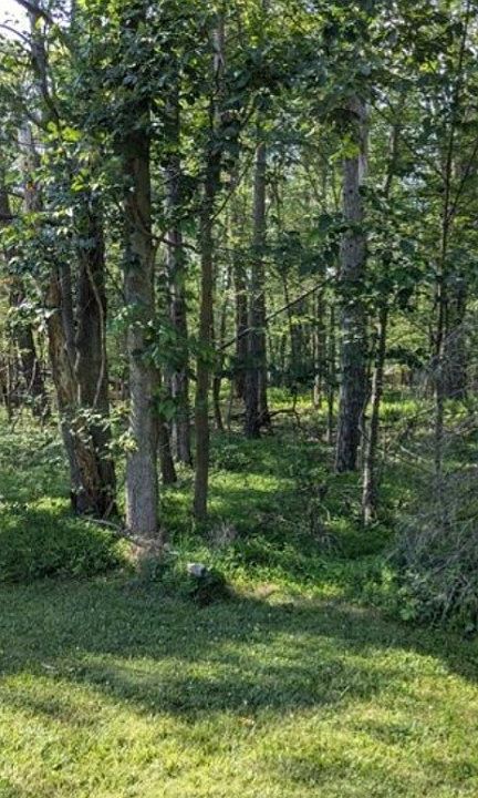 2nd image of 4 Horse Shoe Bend Rd