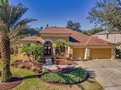4055 Ligustrum Dr, Palm Harbor, FL, 34685