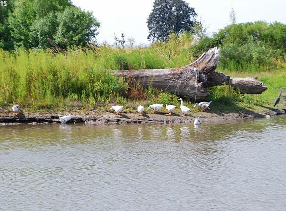 2nd image of 4911 NW 122nd St Slip 15
