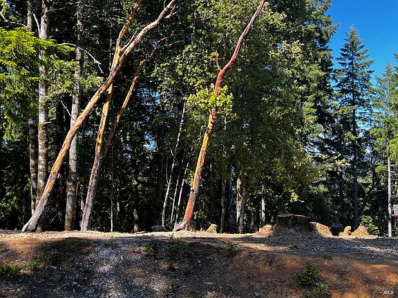 2nd image of 2374 Goose Road