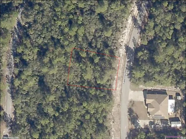 32 SE Fisher Trail Pass, Ocklawaha, FL 32179