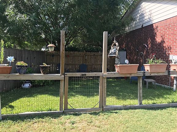 Garden area - 4 Aug 20