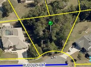 1036 Rudolph Ct, Spring Hill, FL 34609