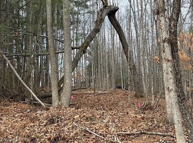 2nd image of LOT 22 Austin Traphill Rd