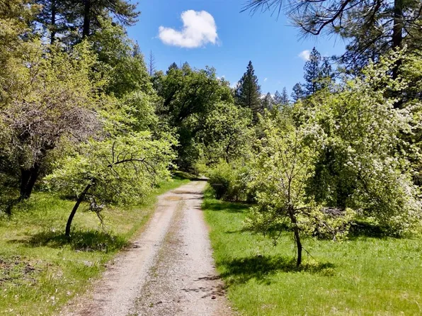 (undisclosed Address), Nevada City, CA 95959