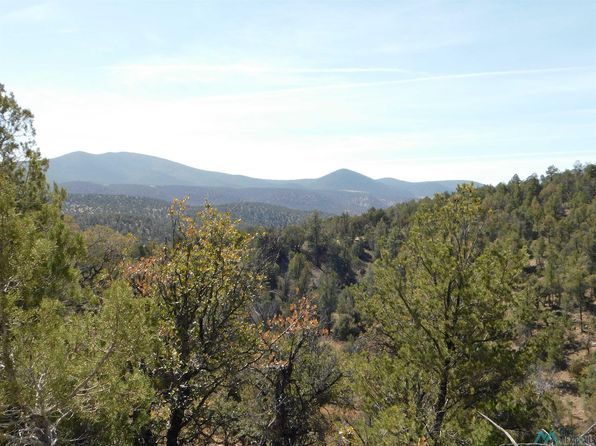 Land For Sale In Reserve Nm