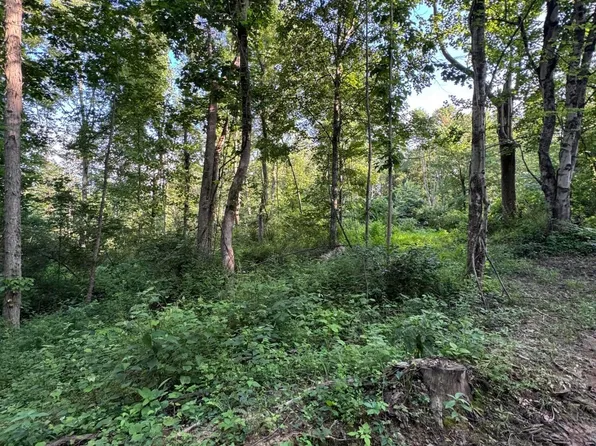 0 Morganstern Ln, Beverly, OH 45715