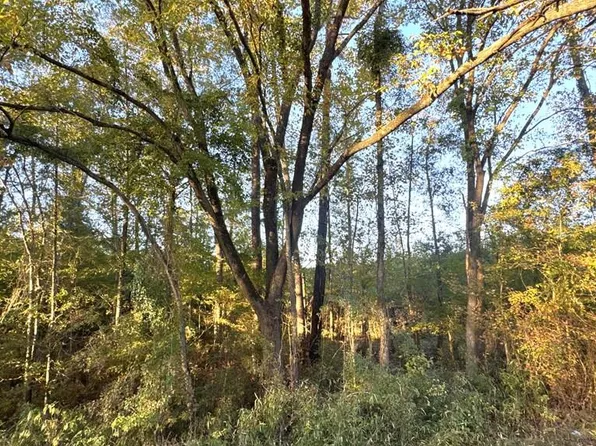 Township Road 8 Hwy #21E, Hemphill, TX 75948