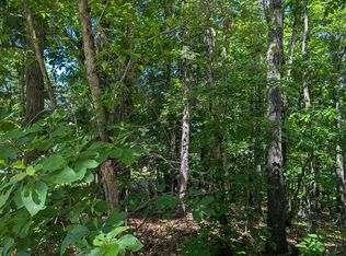 000 Fine Drive, Galena, MO 65656