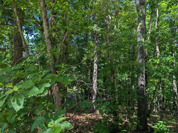 000 Fine Drive, Galena, MO 65656
