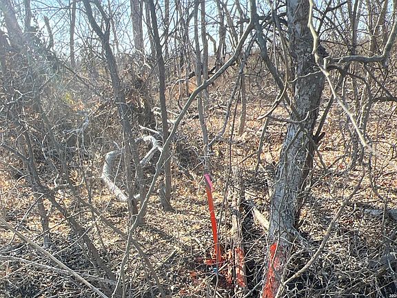 4th image of TBD ESS RD LOT 3