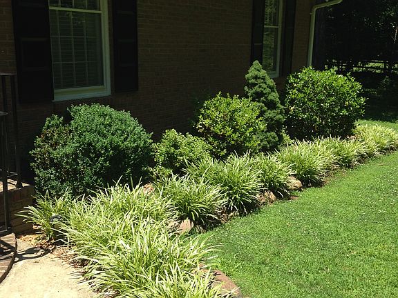 Front Yard Side walk