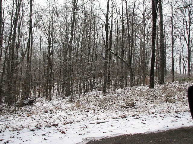 2nd image of 125 Deer Ridge Rd