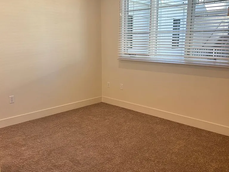 APT THE MADISON COLLECTION — Photo 21