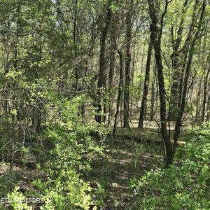 68 King Hill Rd Lot 68, Spring City, TN, 37381
