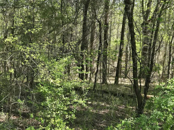 68 King Hill Rd Lot 68, Spring City, TN 37381