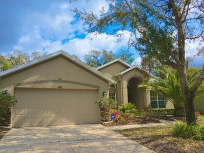 6137 Whimbrelwood Dr, Lithia, FL, 33547