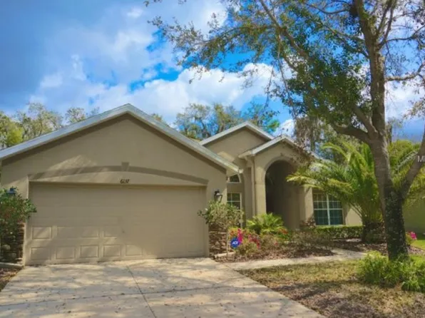 6137 Whimbrelwood Dr, Lithia, FL 33547