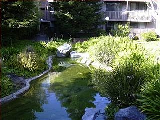1st image of 3140 Shelter Creek Ln