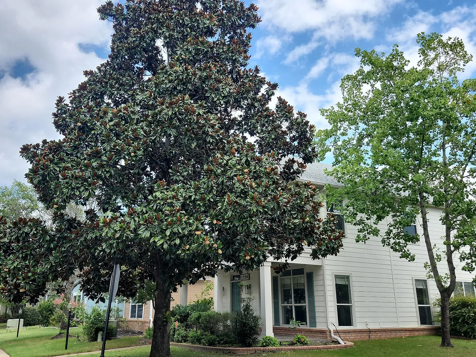 3 bed, 2.5 bath, 1836 sqft, $2,600 — Photo 2