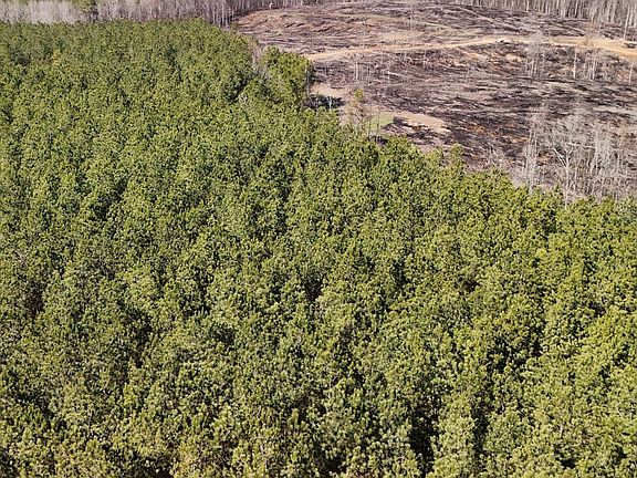 3rd image of 0 Tree Farm Rd