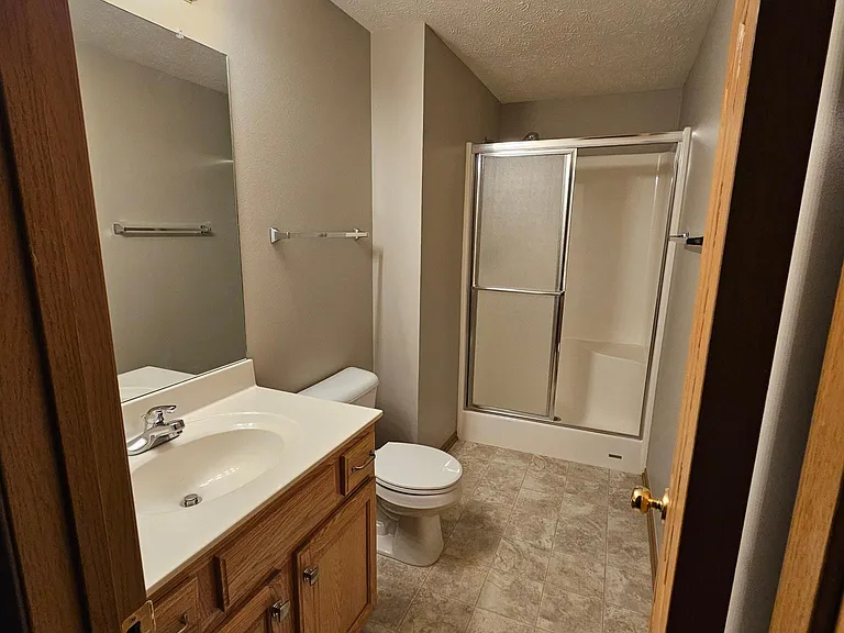 Basement bathroom with shower