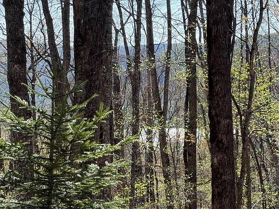 5th image of lot 22 Bright Mountain