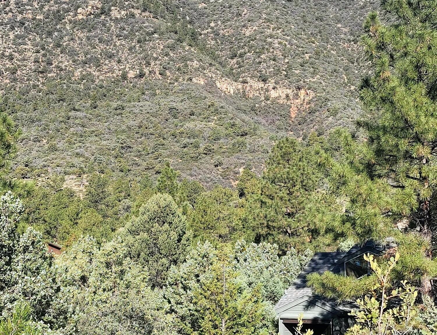 LOT 163 Portal Dr, Pine, AZ 85544 MLS 87755 Zillow