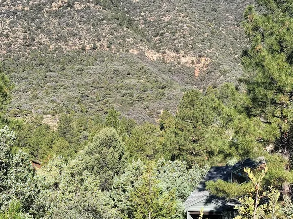 LOT 163 Portal Dr, Pine, AZ 85544