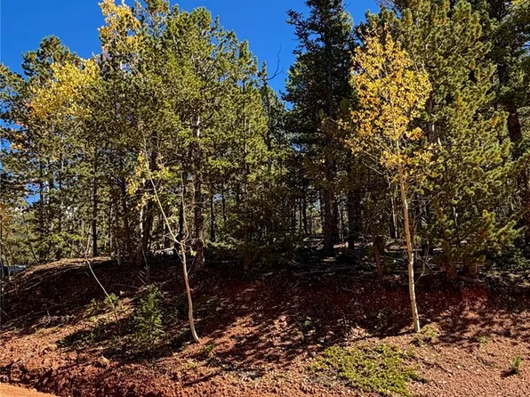 624 Witherite Dr, Divide, CO 80814