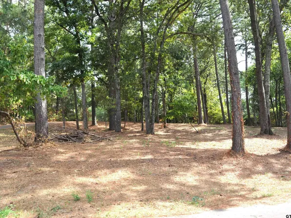 20420 & 20428 High Point Dr, Flint, TX 75762