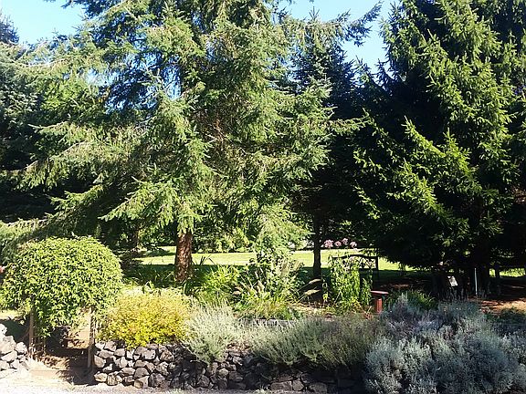 4th image of 30981 Wood Creek Pl NE
