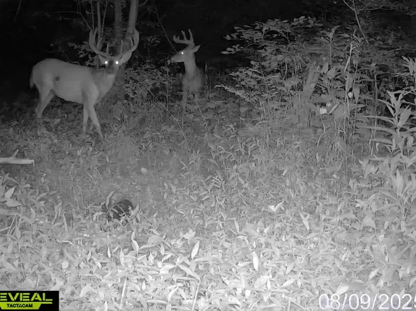 N Portersville Rd, Jasper, IN 47546