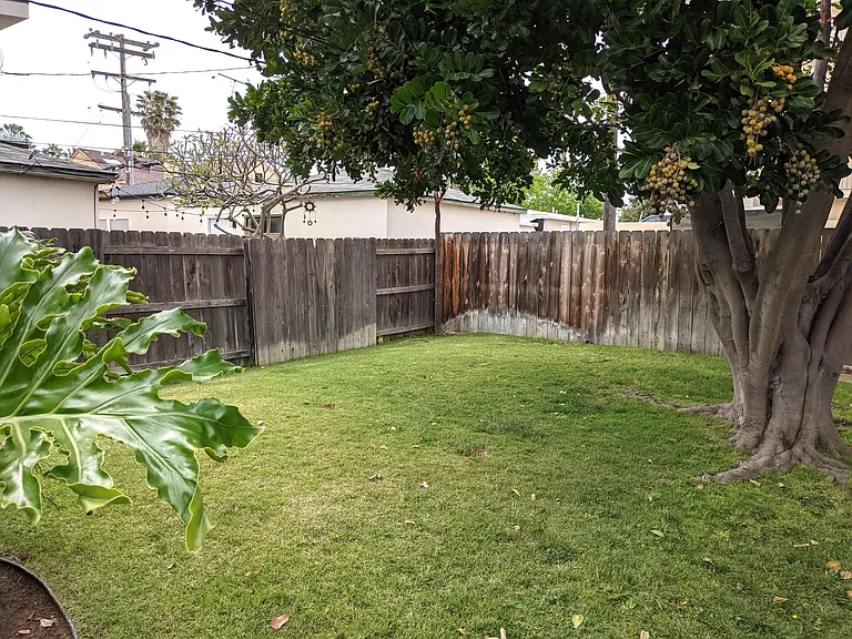 Shared Yard
