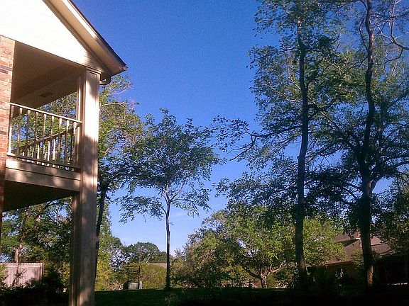 Driveway view toward street