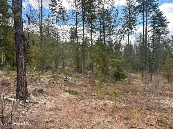 PARCEL Solomon Lake Rd #D, Moyie Springs, ID 83845