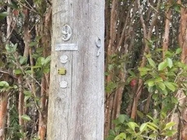Plumeria St Lot 6246, Mountain View, HI 96771